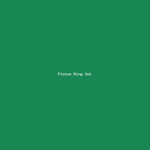 Piston Ring Set
