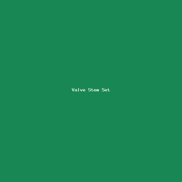 Valve Stem Set